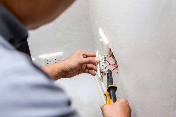Best Ceiling Fan Installation Electrician  in Robins Af, GA